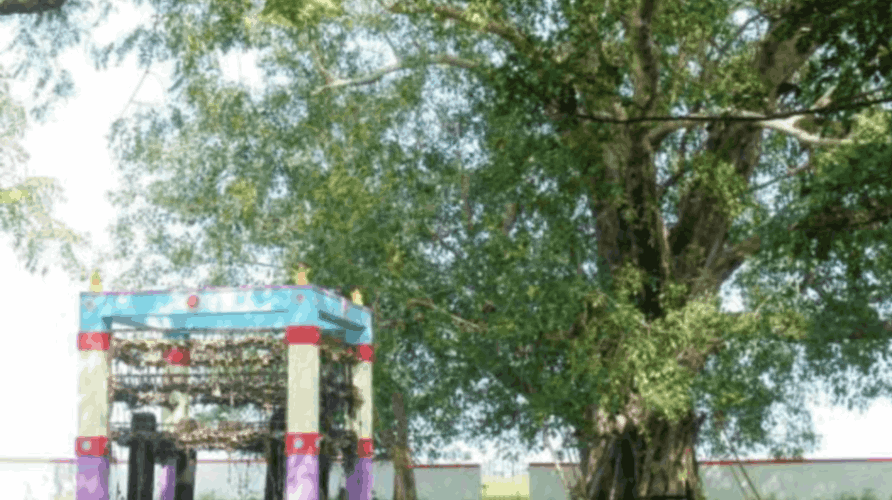 Kuppalnatham