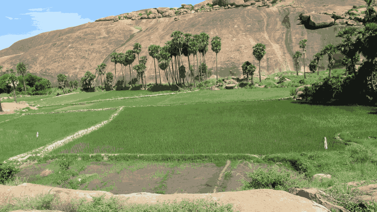 Arittapatti