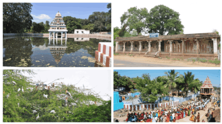 Thirupudaimarudur